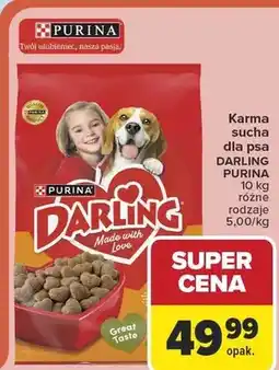 Carrefour Karma sucha dla psa oferta