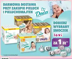 Biedronka Smoczek wybrany oferta