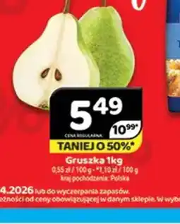 Delfin Gruszka oferta