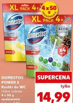 Kaufland DOMESTOS POWER 5 Kostki do WC różne rodzaje oferta