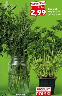 Kaufland Koperek 30 g pęczek oferta