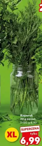 Kaufland Koperek 80 g pęczek oferta