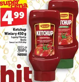 Topaz Ketchup Winiary oferta