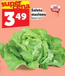 Topaz Sałata masłowa oferta