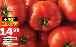 Topaz Pomidor malinowy polski oferta