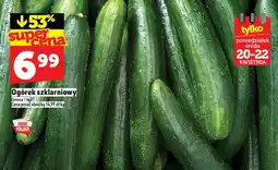 Topaz Ogórek szklarniowy oferta