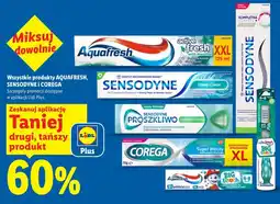Lidl Wszystkie produkty AQUAFRESH, SENSODYNE i COREGA oferta