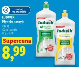 Lidl Ludwik Płyn do naczyń oferta