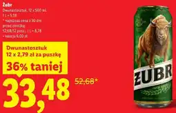 Lidl Piwo Żubr oferta