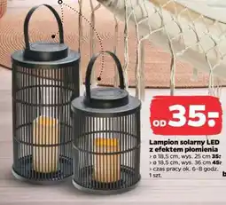 Netto Lampion solarny LED z efektem płomienia oferta