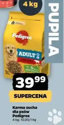 Netto PEDIGREE oferta