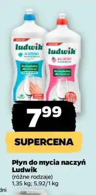 Netto Płyn do mycia naczyń Ludwik oferta