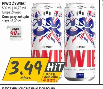 Słoneczko Piwo Zywiec oferta