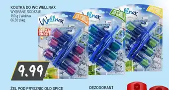 Słoneczko Kostka do WC Wellnax oferta