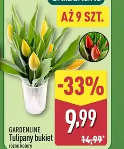 ALDI Gardenline Tulipany bukiet oferta