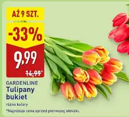 ALDI Tulipany bukiet różne kolory oferta
