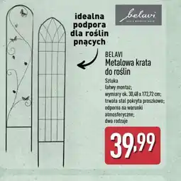 ALDI Belavi Metalowa krata do roślin oferta