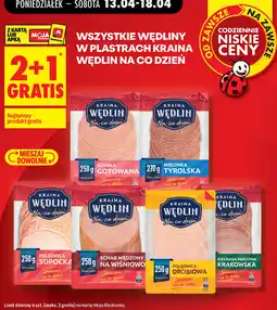 Biedronka Wszystkie wędliny w plastrach oferta