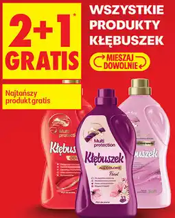 Biedronka WSZYSTKIE PRODUKTY KŁĘBUSZEK oferta
