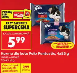 Biedronka Karma dla kota Felix Fantastic oferta