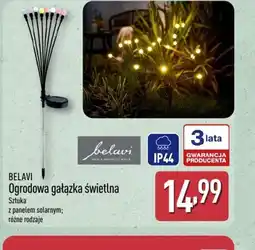 ALDI Belavi Ogrodowa gałązka świetlna oferta