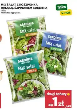 Stokrotka Mix sałat z roszponką, rukolą, szpinakiem oferta