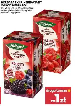 Stokrotka Herbata eksp. herbaciany ogród oferta