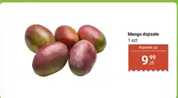 Biedronka Mango dojrzałe, 1 szt oferta