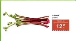 Biedronka Rabarbar, pęczek oferta