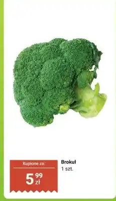 Biedronka Brokuł 1 szt oferta