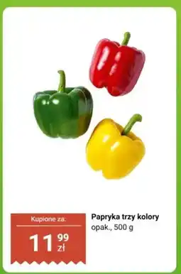 Biedronka Papryka trzy kolory oferta