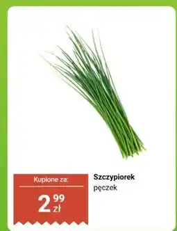 Biedronka Szczypiorek, pęczek oferta