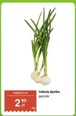 Biedronka Cebula dymka, pęczek oferta