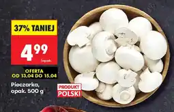 Biedronka Pieczarki oferta