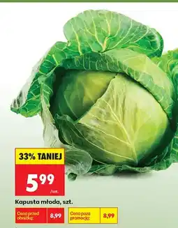 Biedronka Kapusta młoda oferta