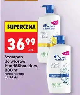 Biedronka Szampon do włosów Citrus Fresh różne rodzaje oferta