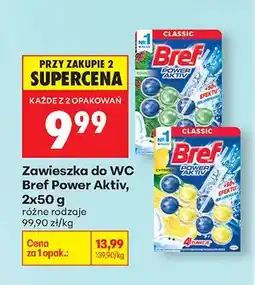 Biedronka Zawieszka do WC Power Aktiv różne rodzaje oferta