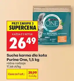 Biedronka Sucha karma dla kota różne rodzaje oferta