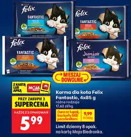 Biedronka Karma dla kota Felix Fantastic oferta