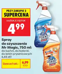 Biedronka Spray do czyszczenia Mr Magic oferta
