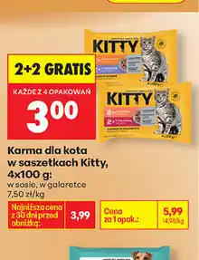 Biedronka WSZYSTKIE PRZYSMAKI DLA KOTA DREAMIES oferta