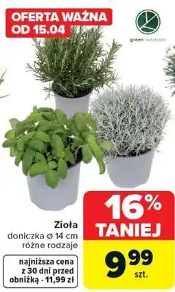 Carrefour Zioła oferta