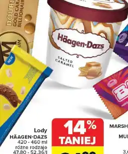Carrefour Lody Häagen-Dazs oferta