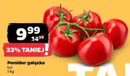Netto Pomidor gałązka oferta
