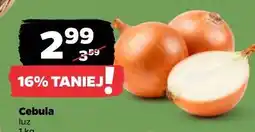 Netto Cebula oferta