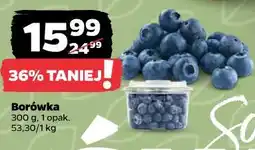 Netto Borówka 300 g, 1 opak oferta