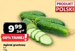 Netto Ogórek gruntowy luz oferta