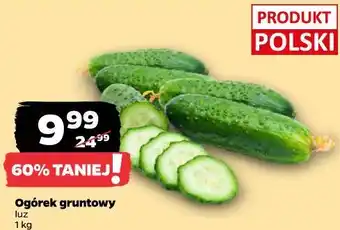 Netto Ogórek gruntowy luz oferta