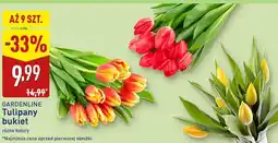 ALDI Tulipany bukiet oferta