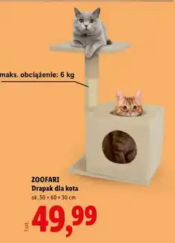 Lidl Drapak dla kota oferta